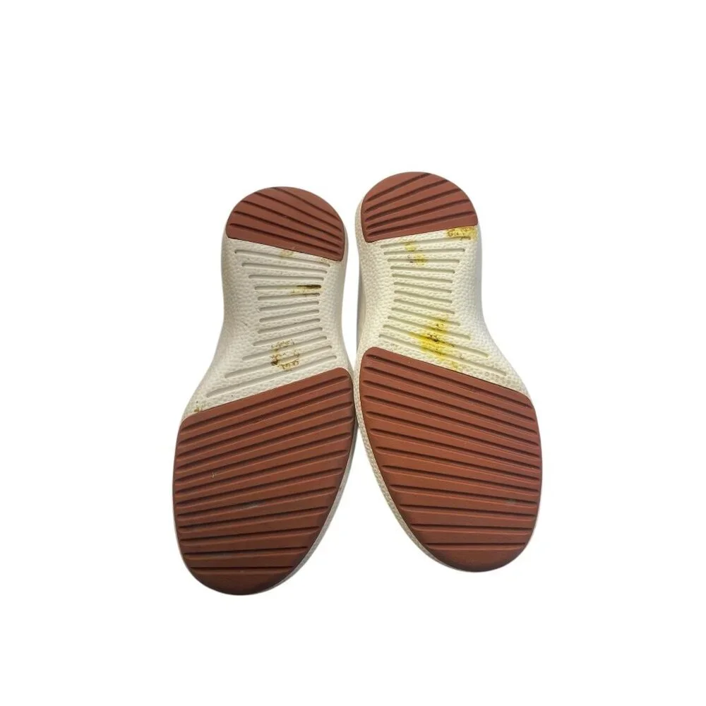 allbirds experience comfort